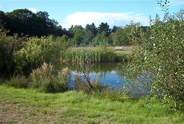 Ferienwohnungen Manfred Peters Baven Hermannsburg Exteriér fotografie